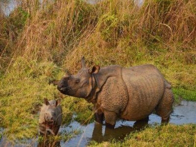 chitwan-safari-neapl3